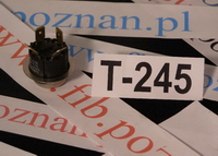 TERMOSTAT NTC